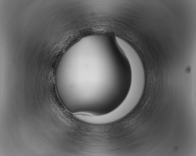 X0000115530601200911271348