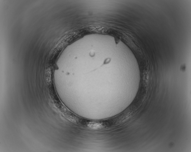 X0000115530602200911271348