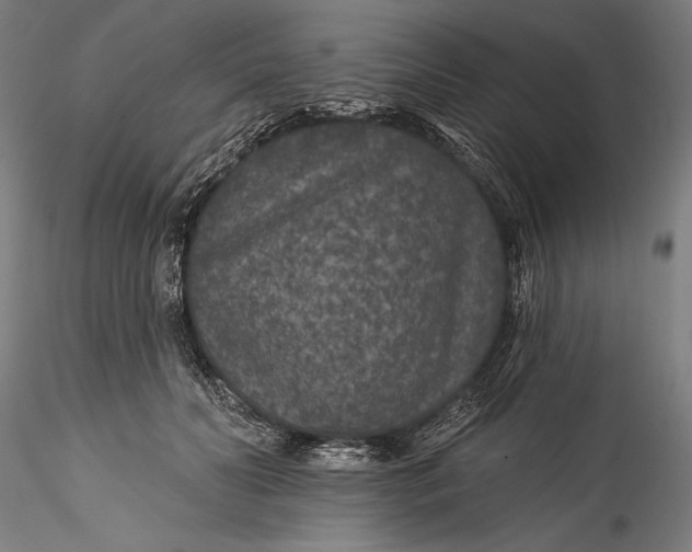 X0000115530606200911271348