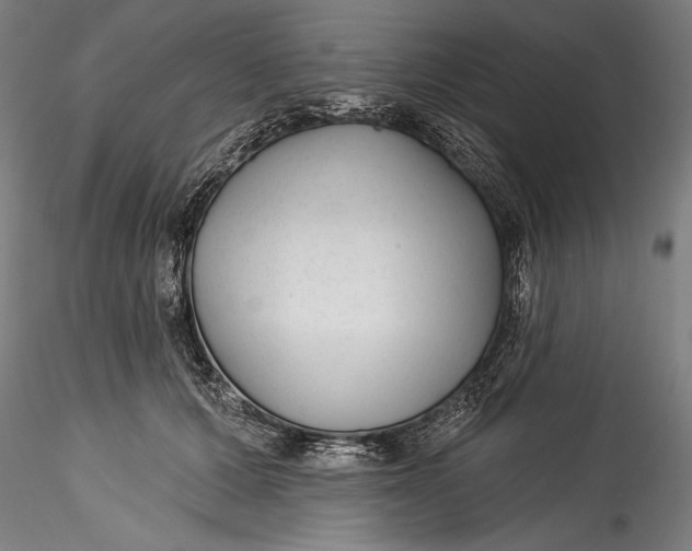 X0000115530607200911271348