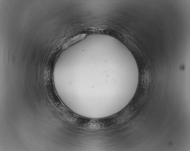 X0000115530608200911271348