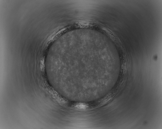 X0000115530610200911271348