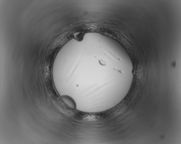 X0000115530611200911271348