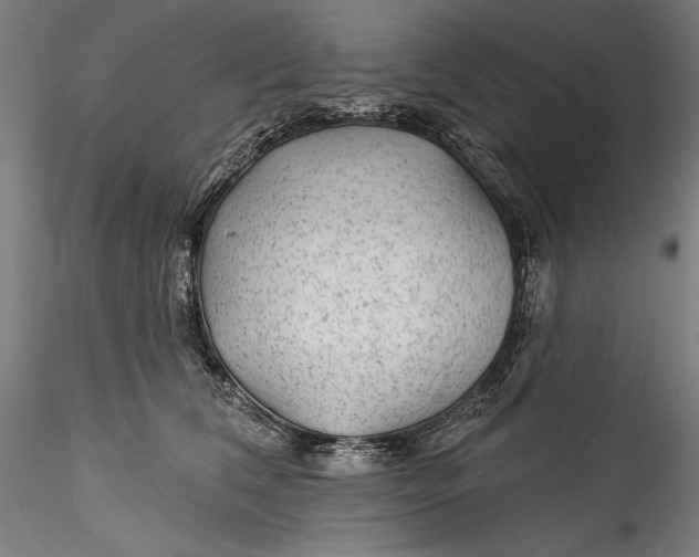 X0000115530612200911271348