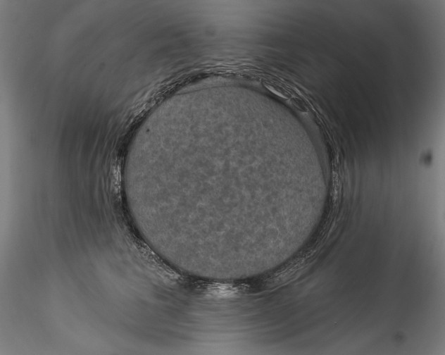 X0000115530613200911271348