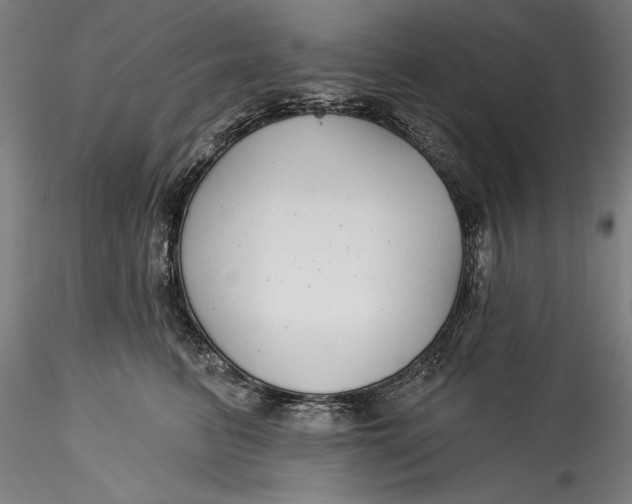 X0000115530615200911271348