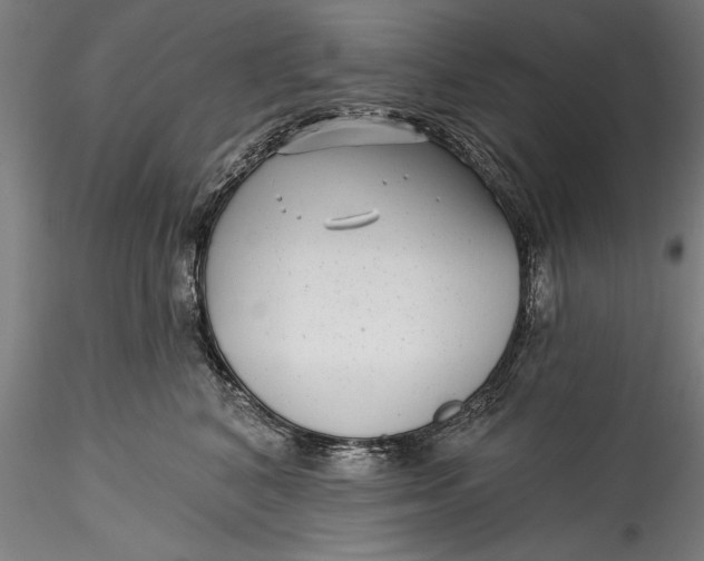 X0000115530616200911271348