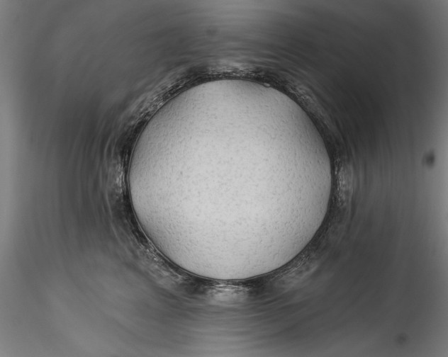 X0000115530617200911271348