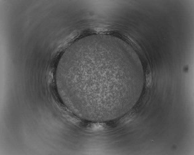 X0000115530618200911271348