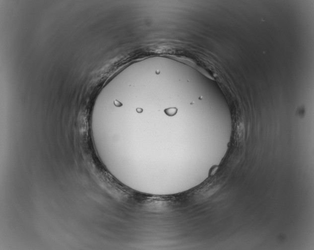 X0000115530620200911271348