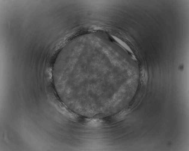 X0000115530621200911271348