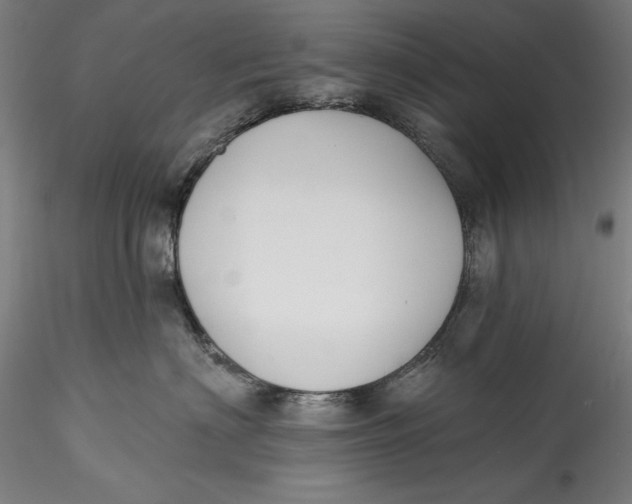 X0000115530622200911271348