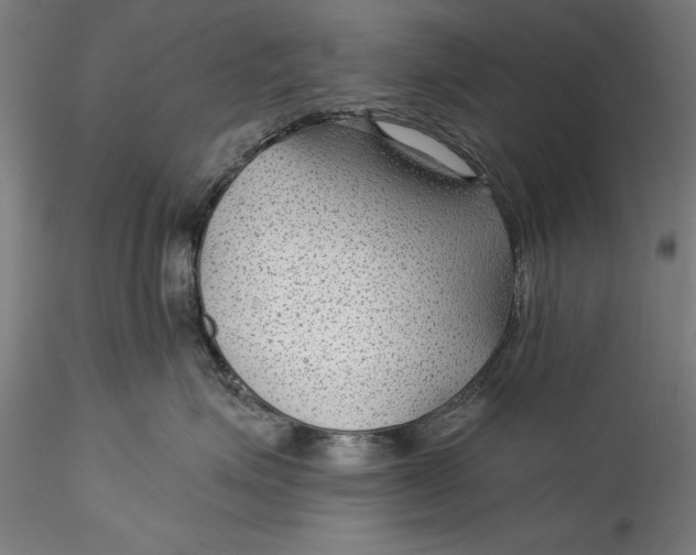 X0000115530623200911271348