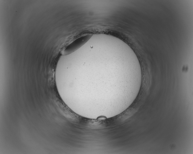 X0000115530624200911271348