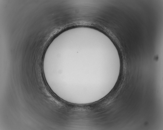 X0000115530625200911271347