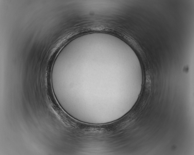 X0000115530626200911271347