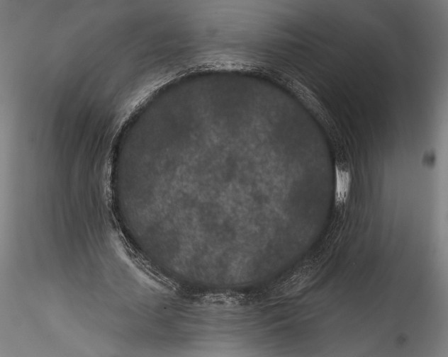 X0000115530627200911271347