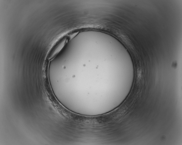 X0000115530628200911271347