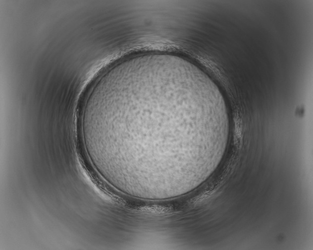 X0000115530630200911271347