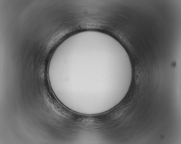 X0000115530631200911271347