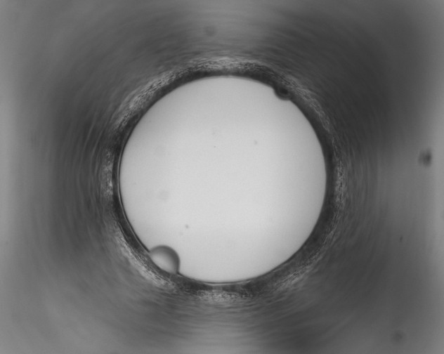 X0000115530633200911271347