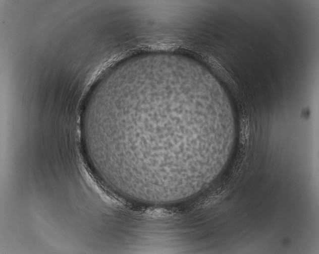 X0000115530634200911271347