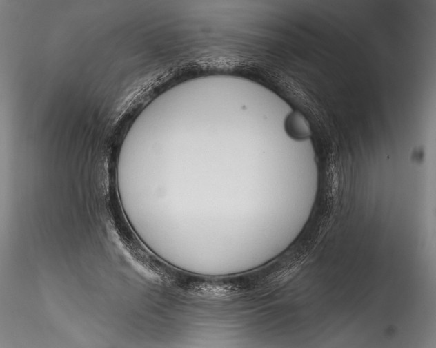 X0000115530638200911271347