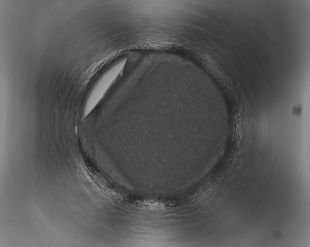 X0000115530640200911271347