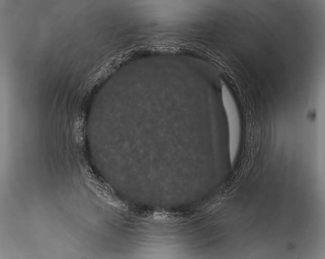 X0000115530641200911271347