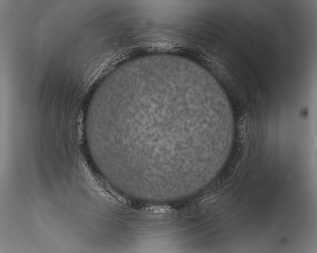 X0000115530642200911271347