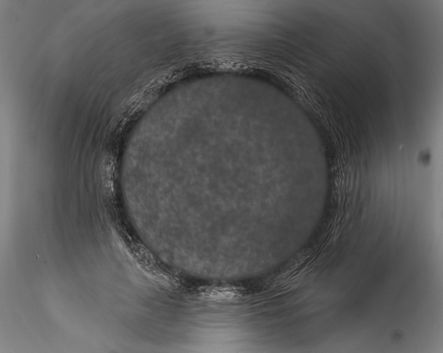 X0000115530643200911271347