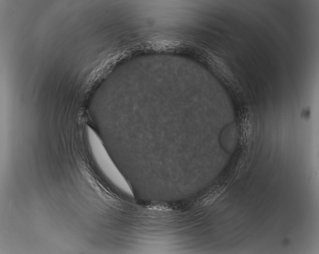 X0000115530644200911271347