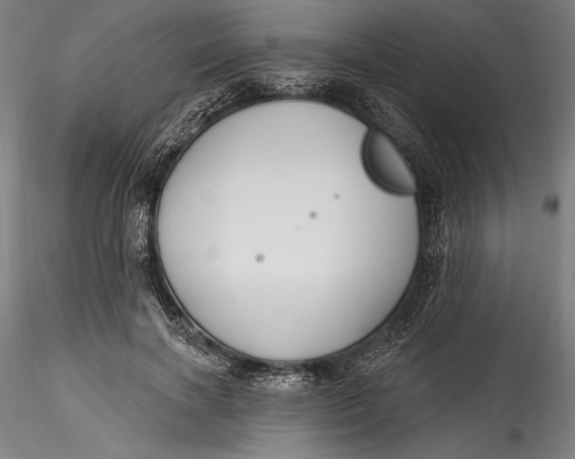 X0000115530646200911271347