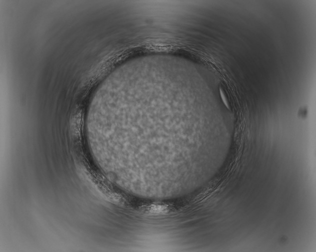 X0000115530647200911271347