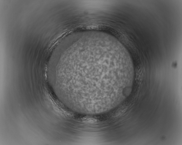 X0000115530648200911271347