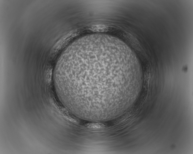 X0000115530652200911271347