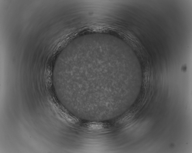 X0000115530653200911271347