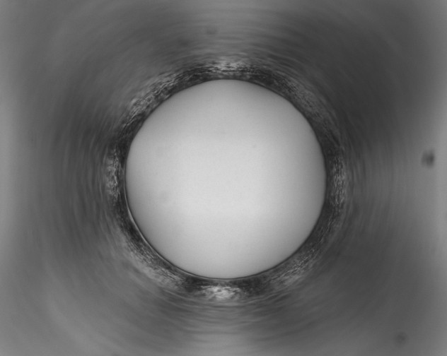 X0000115530654200911271347