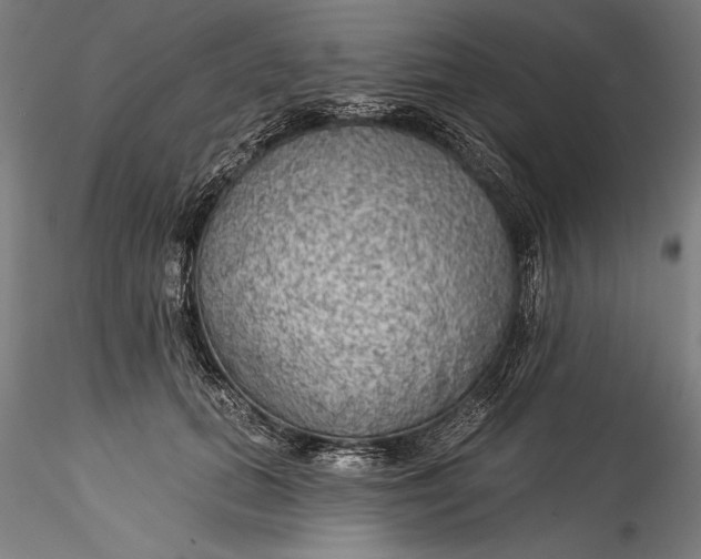 X0000115530655200911271347