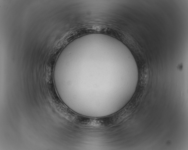 X0000115530656200911271347