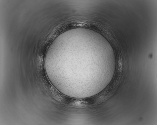 X0000115530657200911271347