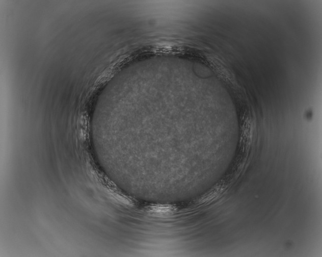 X0000115530659200911271347