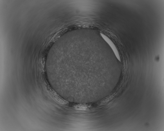 X0000115530661200911271347