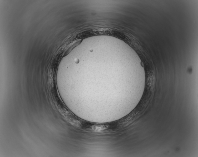 X0000115530662200911271347