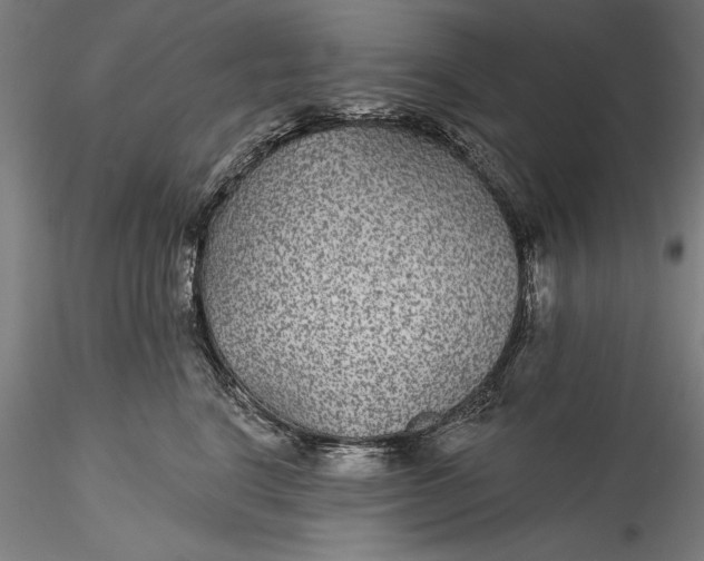 X0000115530664200911271348