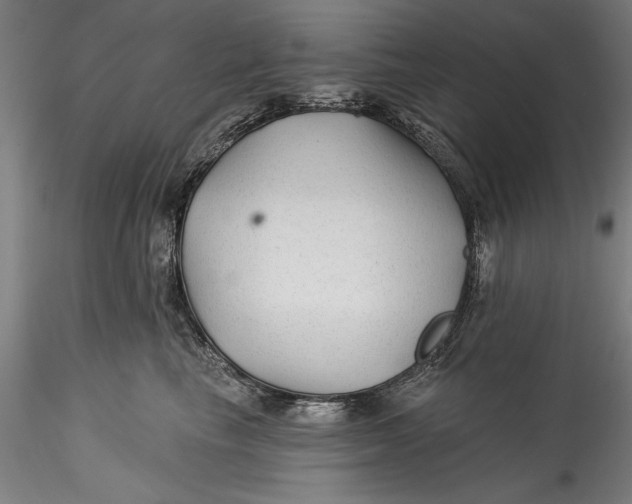 X0000115530665200911271348