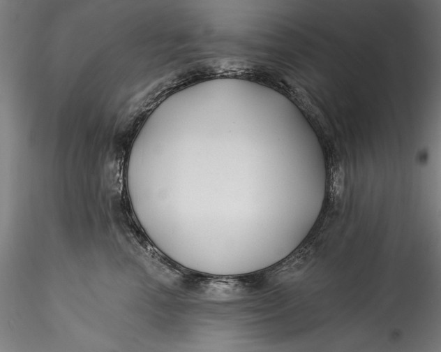 X0000115530666200911271348