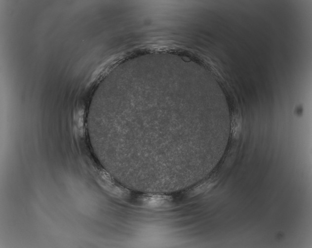 X0000115530670200911271348