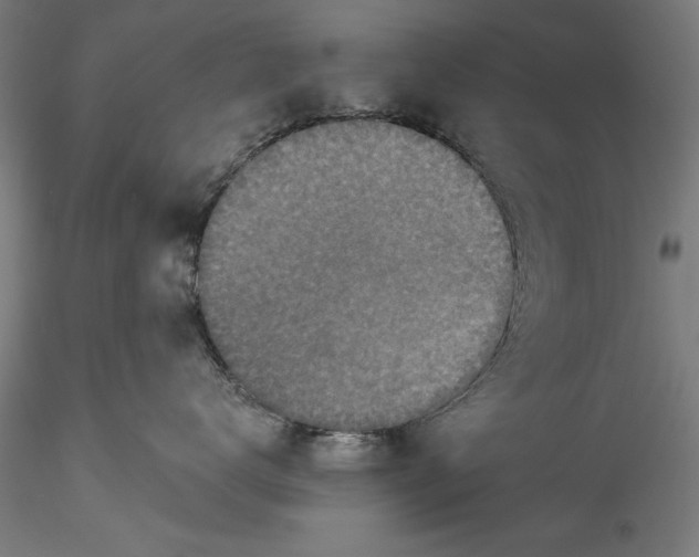 X0000115530672200911271348