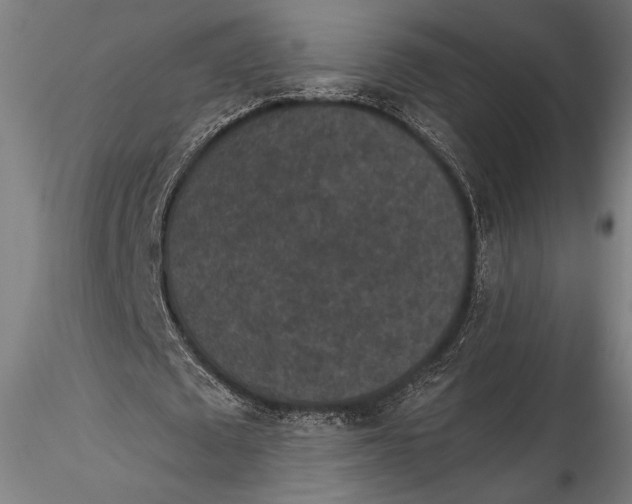 X0000115530673200911271347